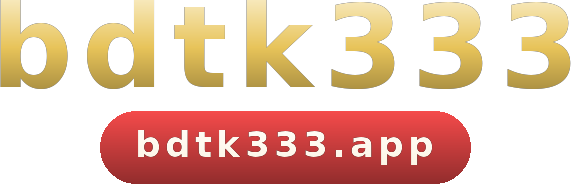 bdtk333 logo